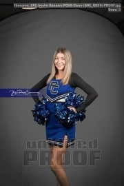 Senior Banners PCHS Cheer (BRE_8939)
