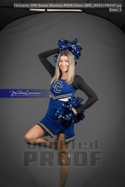 Senior Banners PCHS Cheer (BRE_8953)