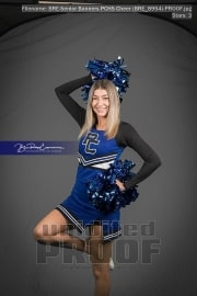 Senior Banners PCHS Cheer (BRE_8954)