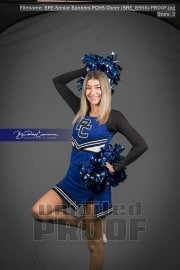 Senior Banners PCHS Cheer (BRE_8955)