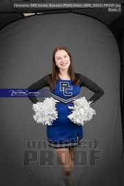 Senior Banners PCHS Cheer (BRE_9002)