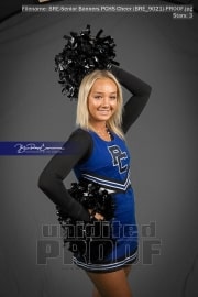Senior Banners PCHS Cheer (BRE_9021)