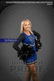 Senior Banners PCHS Cheer (BRE_9025)