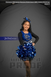 Senior Banners PCHS Cheer (BRE_9160)