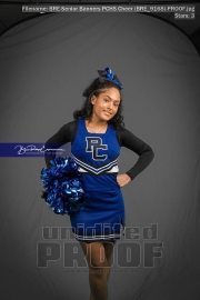 Senior Banners PCHS Cheer (BRE_9168)