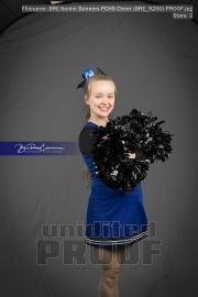 Senior Banners PCHS Cheer (BRE_9200)
