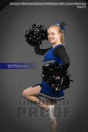 Senior Banners PCHS Cheer (BRE_9216)