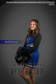 Senior Banners PCHS Cheer (BRE_9383)