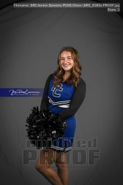 Senior Banners PCHS Cheer (BRE_9385)