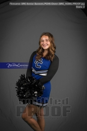 Senior Banners PCHS Cheer (BRE_9386)