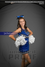 Senior Banners PCHS Cheer (BRE_9421)