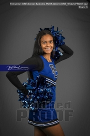 Senior Banners PCHS Cheer (BRE_9512)