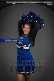 Senior Banners PCHS Cheer (BRE_9579)