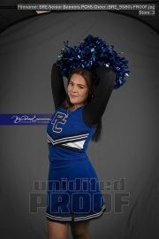 Senior Banners PCHS Cheer (BRE_9580)