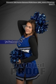 Senior Banners PCHS Cheer (BRE_9583)