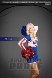 Senior Banners WHHS Fall Cheer (BRE_6966)