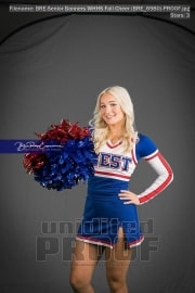 Senior Banners WHHS Fall Cheer (BRE_6980)