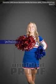 Senior Banners WHHS Fall Cheer (BRE_7285)