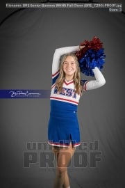 Senior Banners WHHS Fall Cheer (BRE_7290)