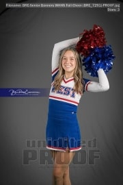 Senior Banners WHHS Fall Cheer (BRE_7291)