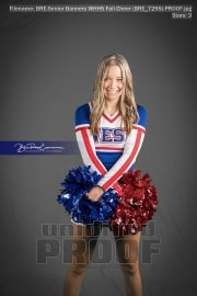 Senior Banners WHHS Fall Cheer (BRE_7295)