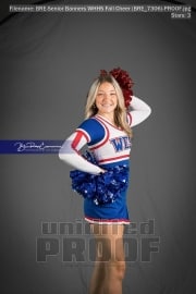 Senior Banners WHHS Fall Cheer (BRE_7306)