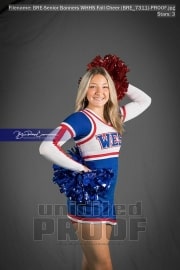 Senior Banners WHHS Fall Cheer (BRE_7311)