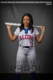 Senior Banners WHHS Girls Softball (BRE_6901)