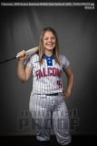Senior Banners WHHS Girls Softball (BRE_7098)