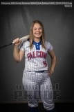 Senior Banners WHHS Girls Softball (BRE_7100)