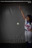 Senior Banners WHHS Girls Softball (BRE_7116)
