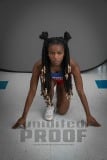 Senior Banners WHHS Winter Track (BRE_9427)
