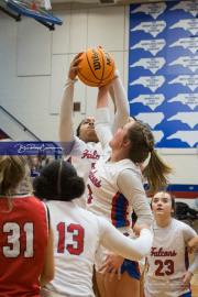 Basketball Pisgah at West Henderson (BR3_5156)