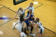 Basketball West Henderson at East Henderson (BR3_6278)