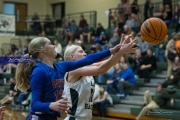 Basketball West Henderson at East Henderson (BR3_6919)