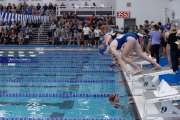 Senior Swim Meet (BR3_0314)