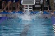 Senior Swim Meet (BR3_9484)