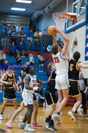 Basketball: Tuscola at West Henderson (BR3_8210)