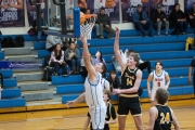 Basketball: Tuscola at West Henderson (BR3_8301)