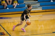 Basketball: Tuscola at West Henderson (BR3_8332)