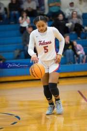 Basketball: Tuscola at West Henderson (BR3_6503)