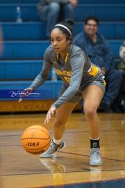 Basketball: Tuscola at West Henderson (BR3_6607)