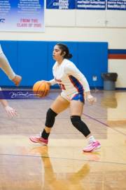 Basketball: Tuscola at West Henderson (BR3_6700)
