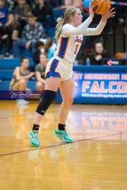 Basketball: Tuscola at West Henderson (BR3_7014)