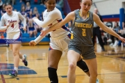 Basketball: Tuscola at West Henderson (BR3_7036)