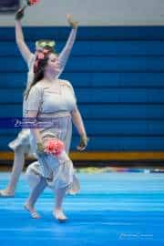 West Henderson Winter Guard Show (BR3_6325)