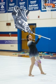 West Henderson Winter Guard Show (BR3_7447)