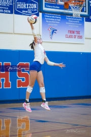 WHHS Girls Volleyball v AC Reynolds