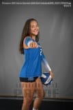 Senior Banners BHS Girls Volleyball