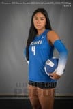 Senior Banners BHS Girls Volleyball